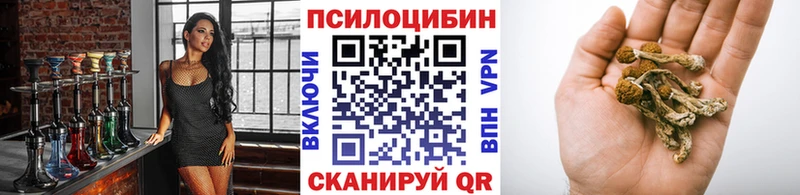Псилоцибиновые грибы мухоморы  даркнет сайт  Грязи 